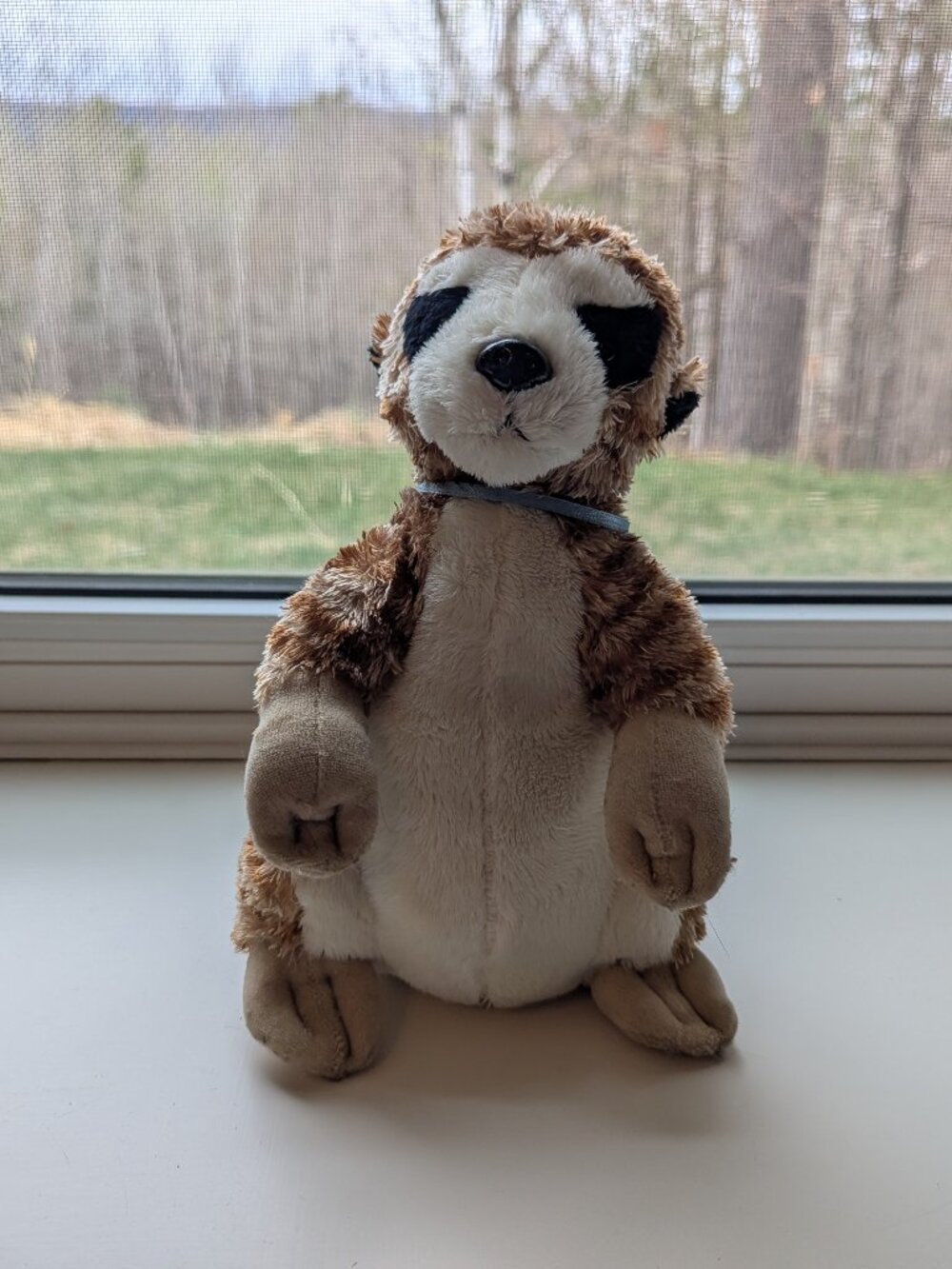Webkinz - Meerkat - no code